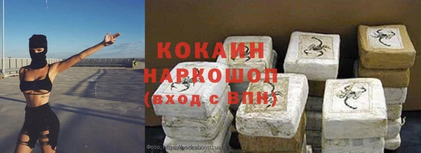 PSILOCYBIN Тайга