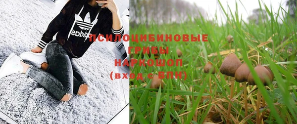 крисы Сясьстрой